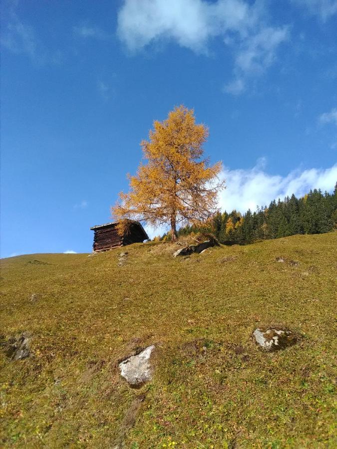 Ferienwohnung Felix-Adults Only Neustift im Stubaital Eksteriør billede